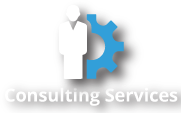 Consulting Services